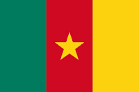 Cameroon                                           Flag